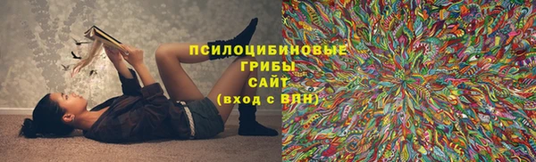 твердый Осташков