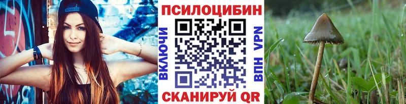 гидра ссылки  купить наркотик  Сысерть  Псилоцибиновые грибы Cubensis 